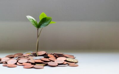 5 steps that allow you to handle a financial crisis