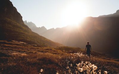 The benefits of a daily walk