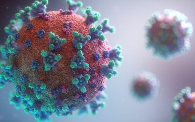 The cost of Covid-19: How does pandemic borrowing add up?