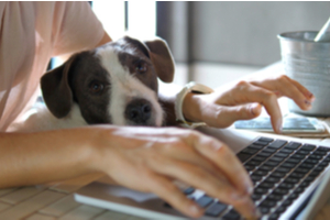 7 tips for employers embracing the flexible working trend